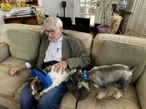 Stan — photograph 3 of 54